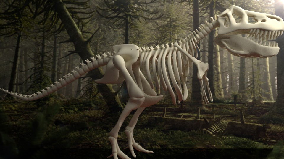 T-REX Dino TRex, Bones, Skeleton preview image 5